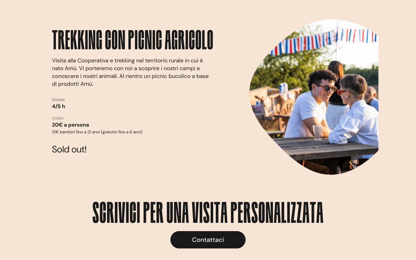 Experiences page on desktop