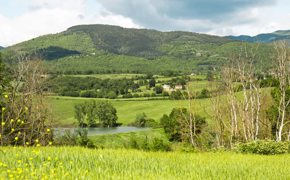 The Mugello valley